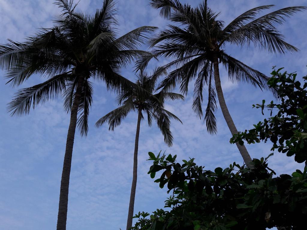 Bach Duong Hotel Phan Thiet Exterior foto